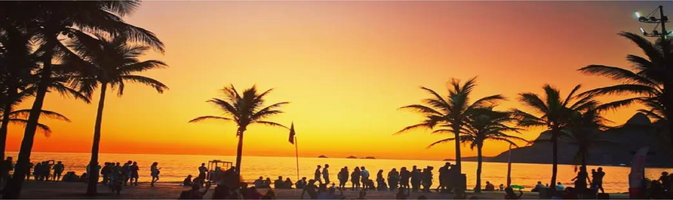 Palmeiras na orla de Ipanema ao pôr do sol